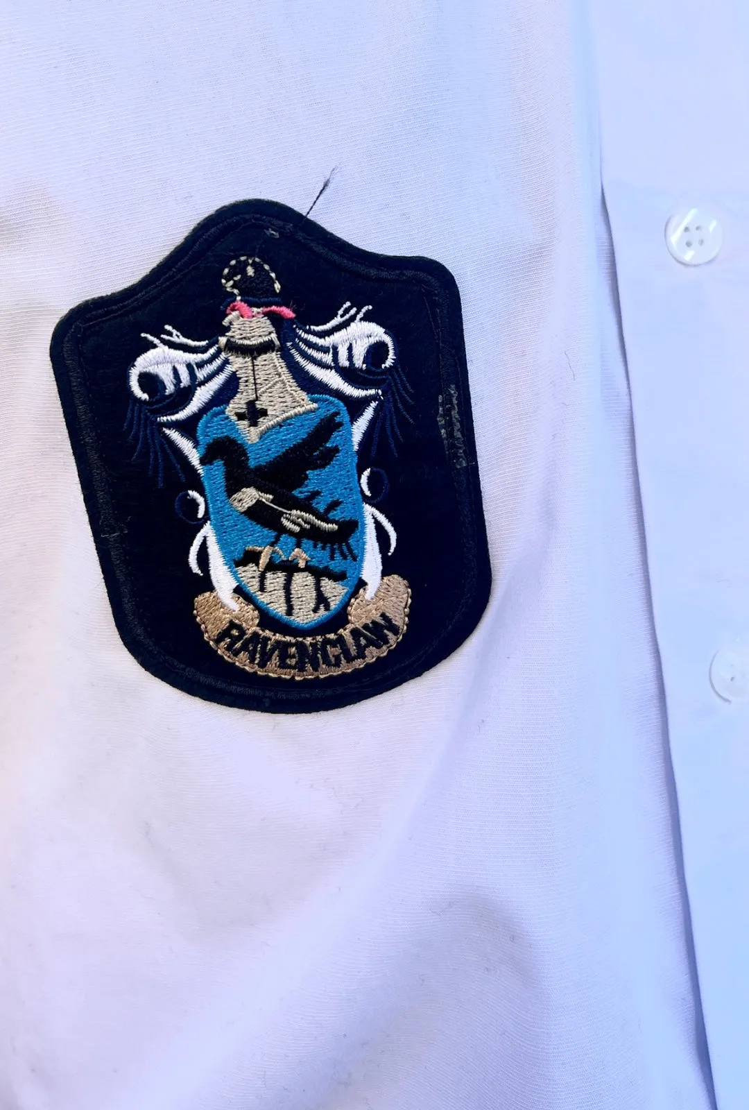 Harry Potter Ravenclaw Adults Cloak